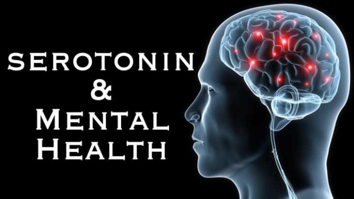 SEROTONIN AND MENTAL HEALTH